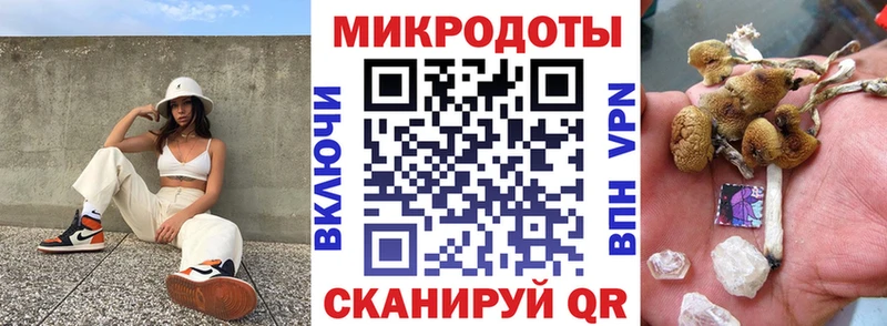 Псилоцибиновые грибы Psilocybe  Купить  Дно 
